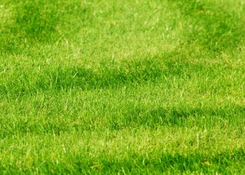 Perth’s Premium Artificial Grass, Decking & Playground